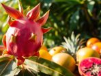 BUAH NAGA
