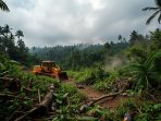 Perusakan-Habitat-Spesies-Langka